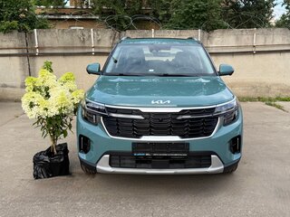 Kia Seltos - 2 от автора Дубихин Авто Эксперт в Бортжурнале