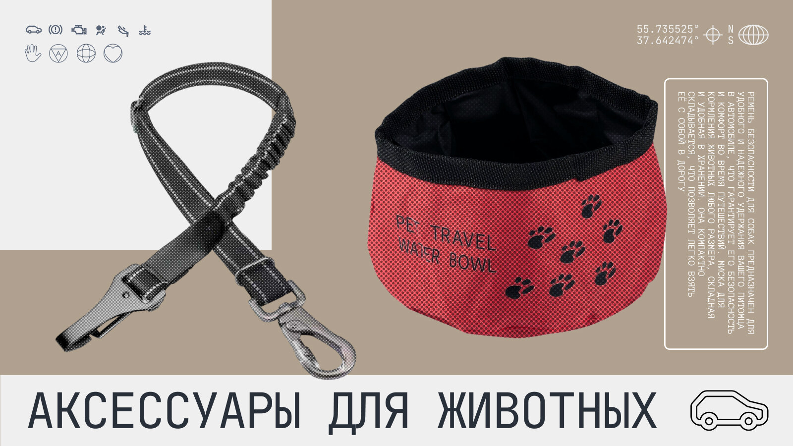 Путешествуем с питомцами: 9 аксессуаров для поездок с животными на машине