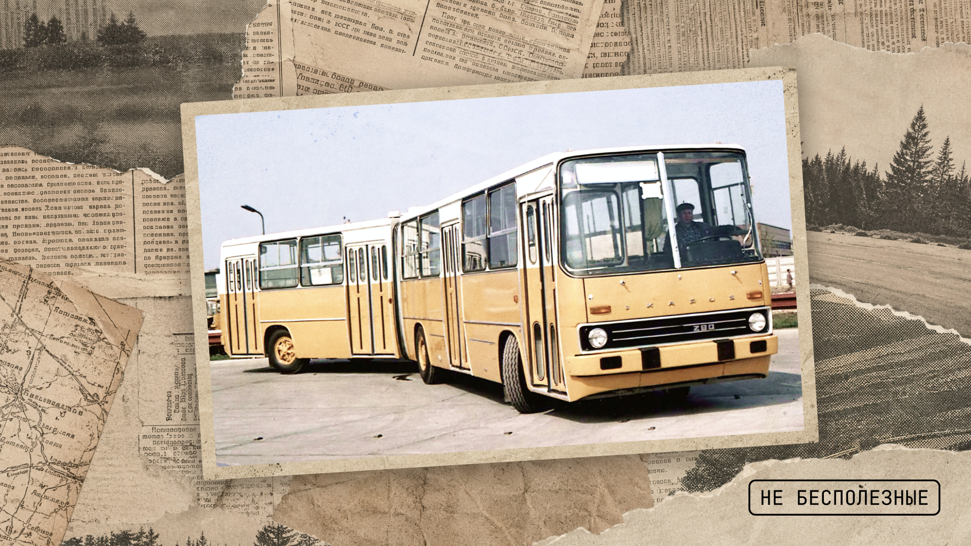 Жёлтый «Икарус» для СССР и не только: интересные факты о легендарных автобусах