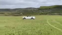 Украинская бабушка покрутила «пончики» на кабриолете Ford Mustang
