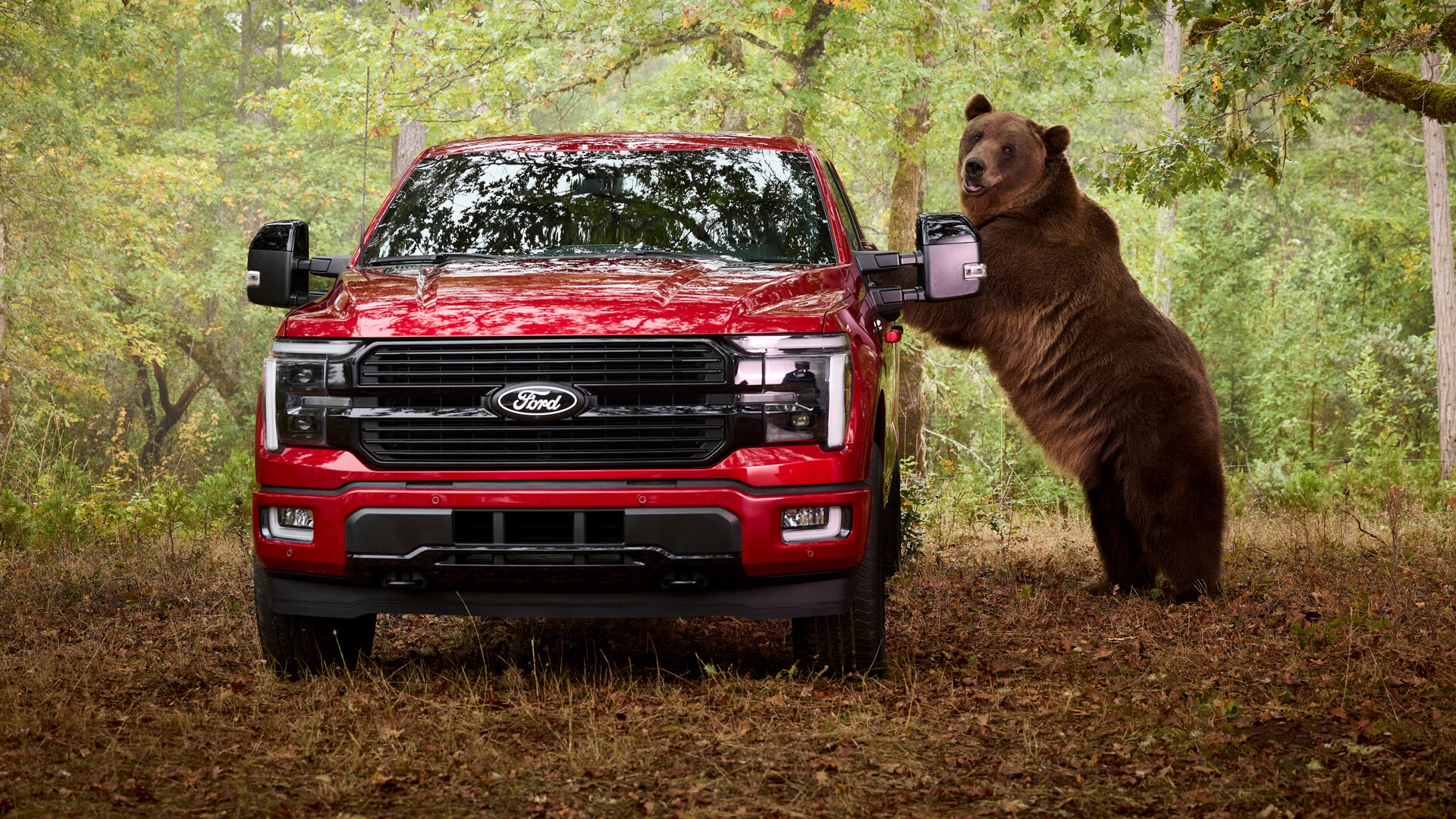 Ford нанял медведя для проверки штатной противоугонной системы 