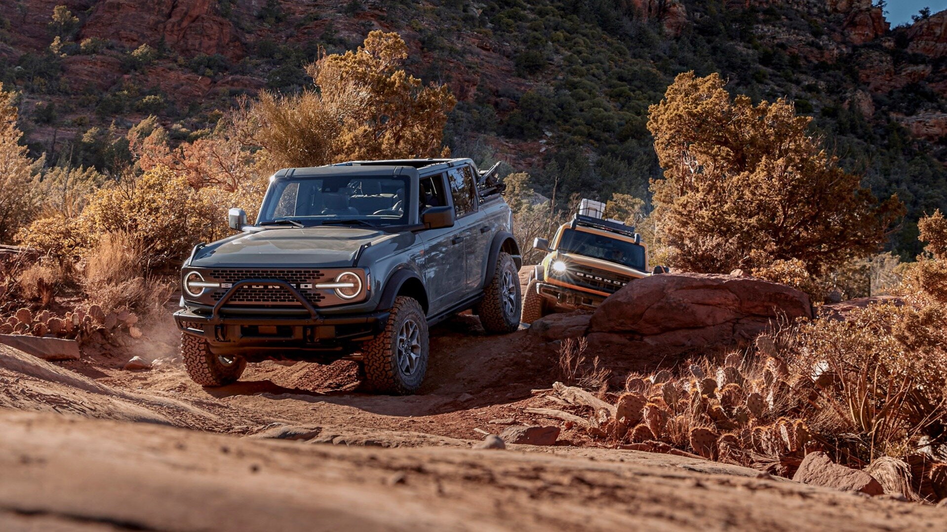 Внедорожник Ford Bronco может появиться на европейском рынке