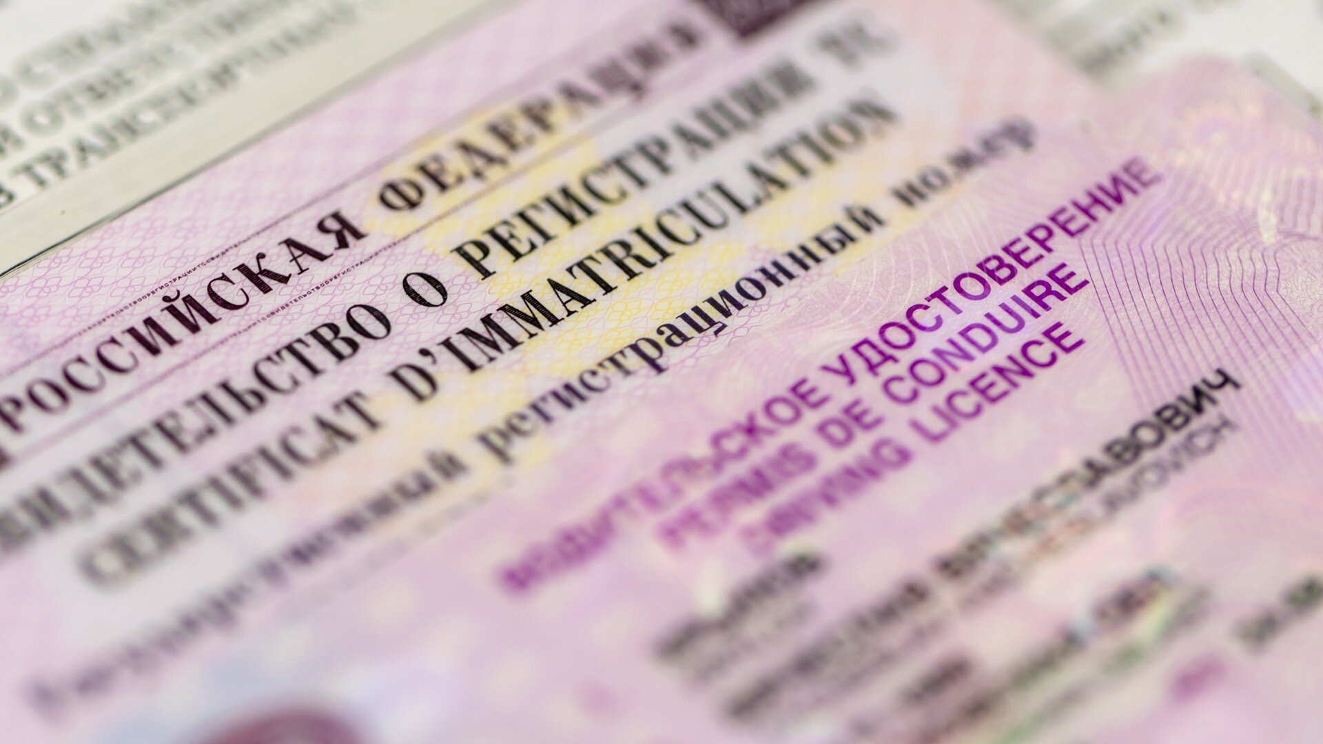 МВД предложило разрешить предъявлять права в мессенджере Max