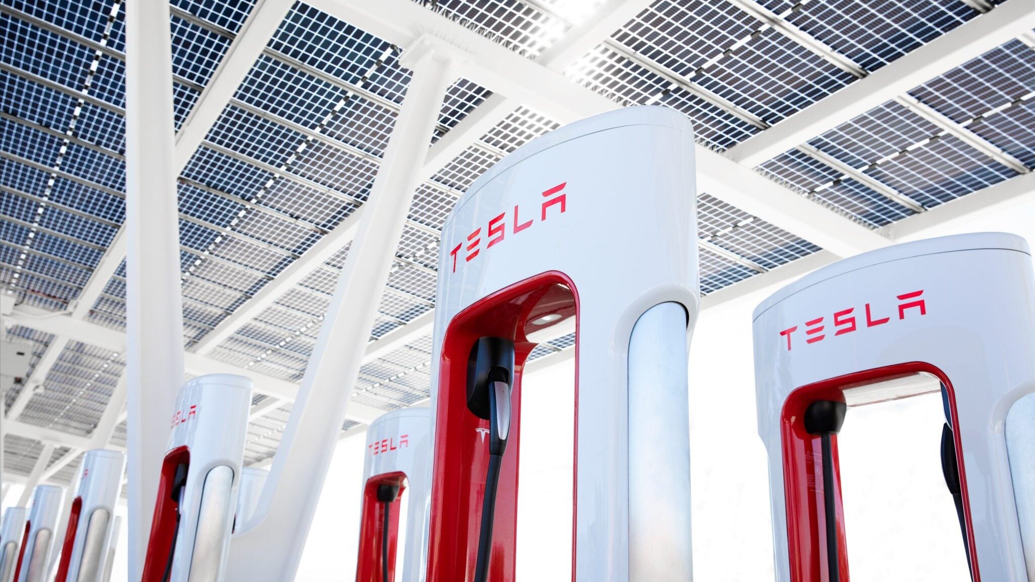 Tesla уволила сразу нескольких топ-менеджеров и распустила команду Supercharger