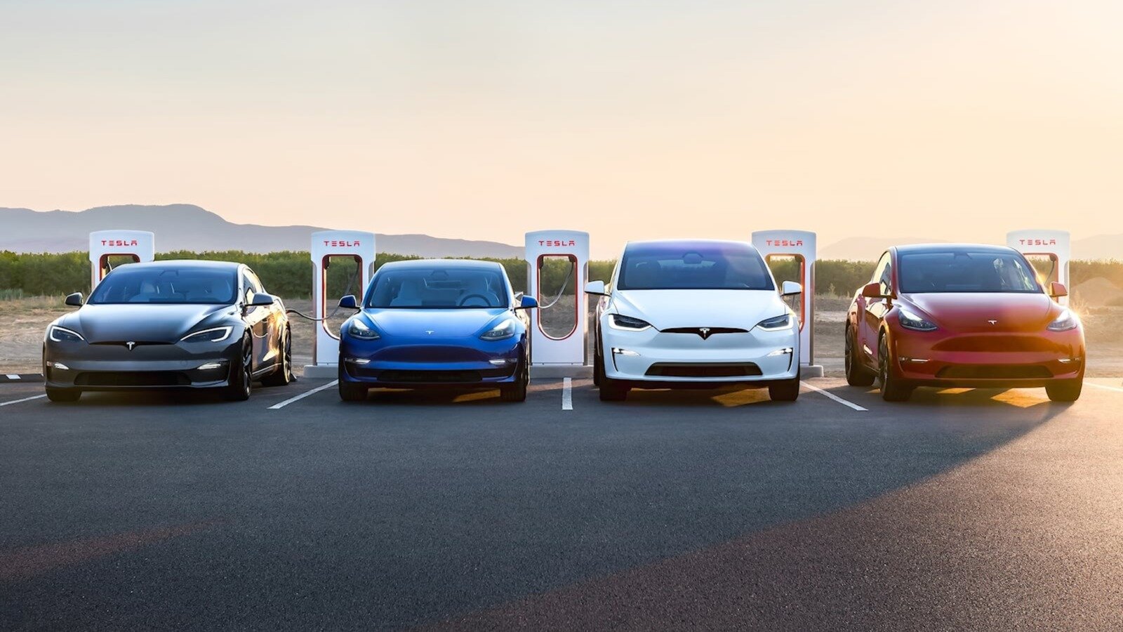 Tesla впервые стала самым популярным премиальным автобрендом в США