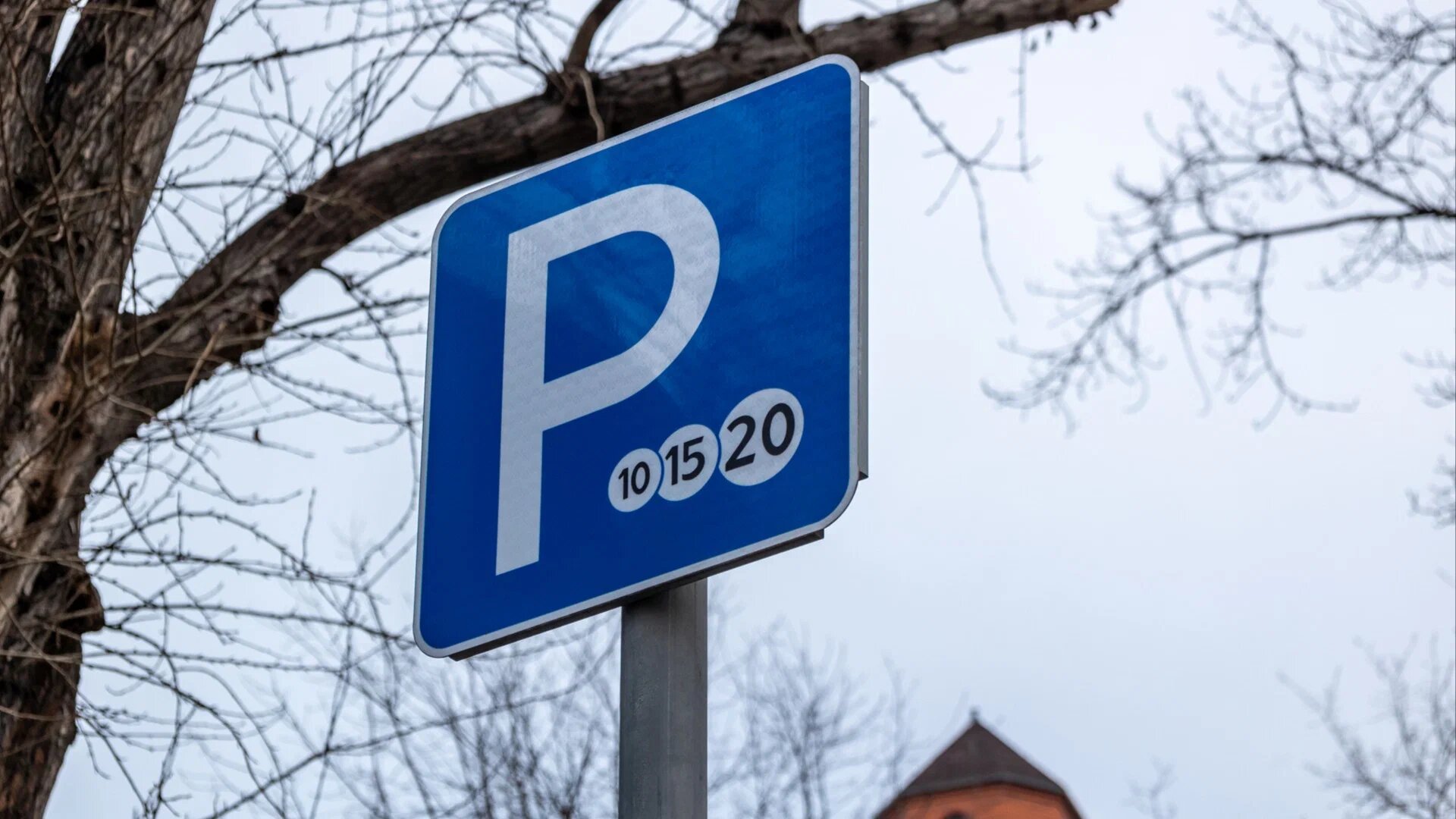 Платную парковку введут на улицах Подмосковья с 1 ноября