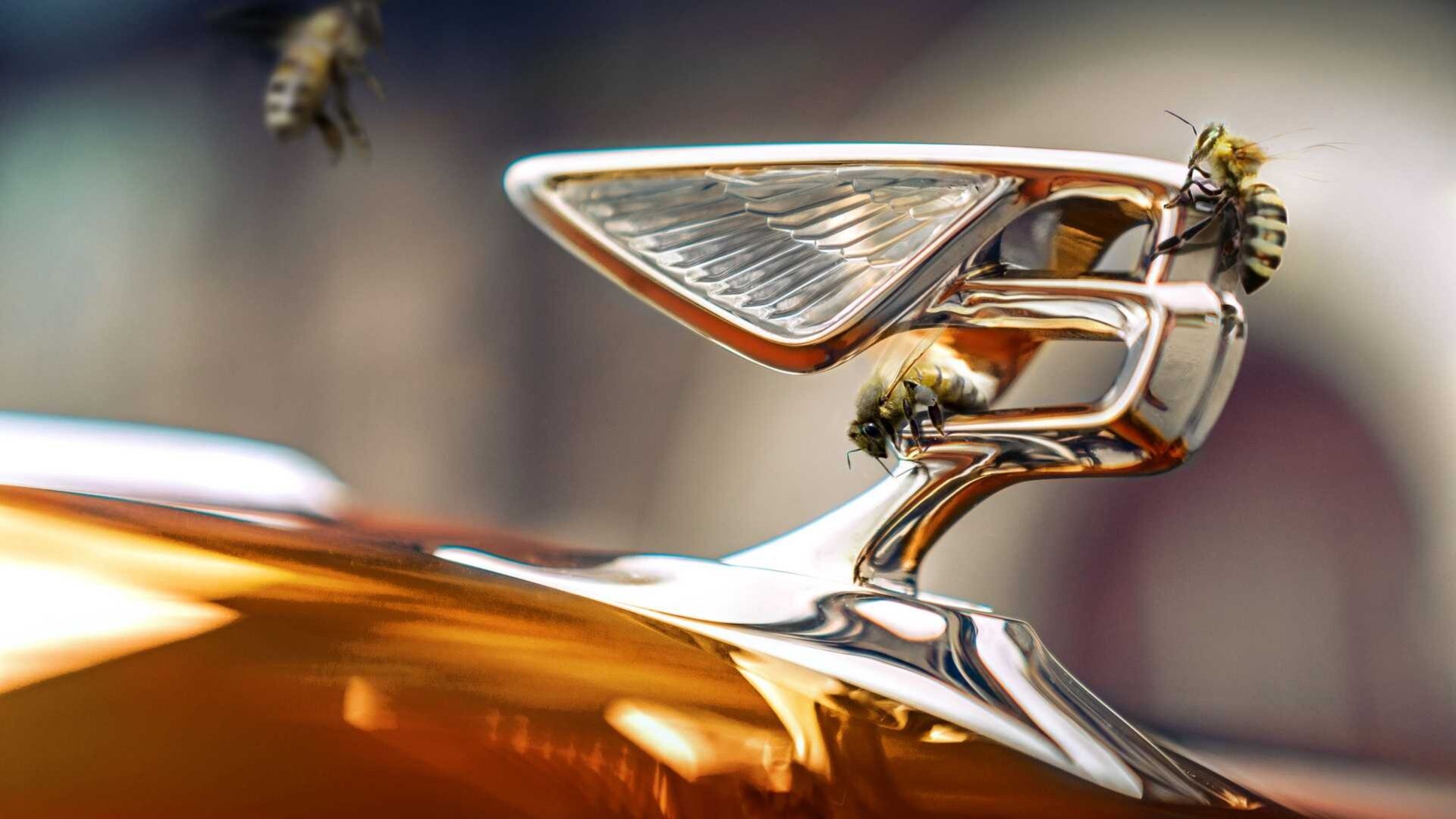 Компания Bentley поставила рекорд по производству мёда