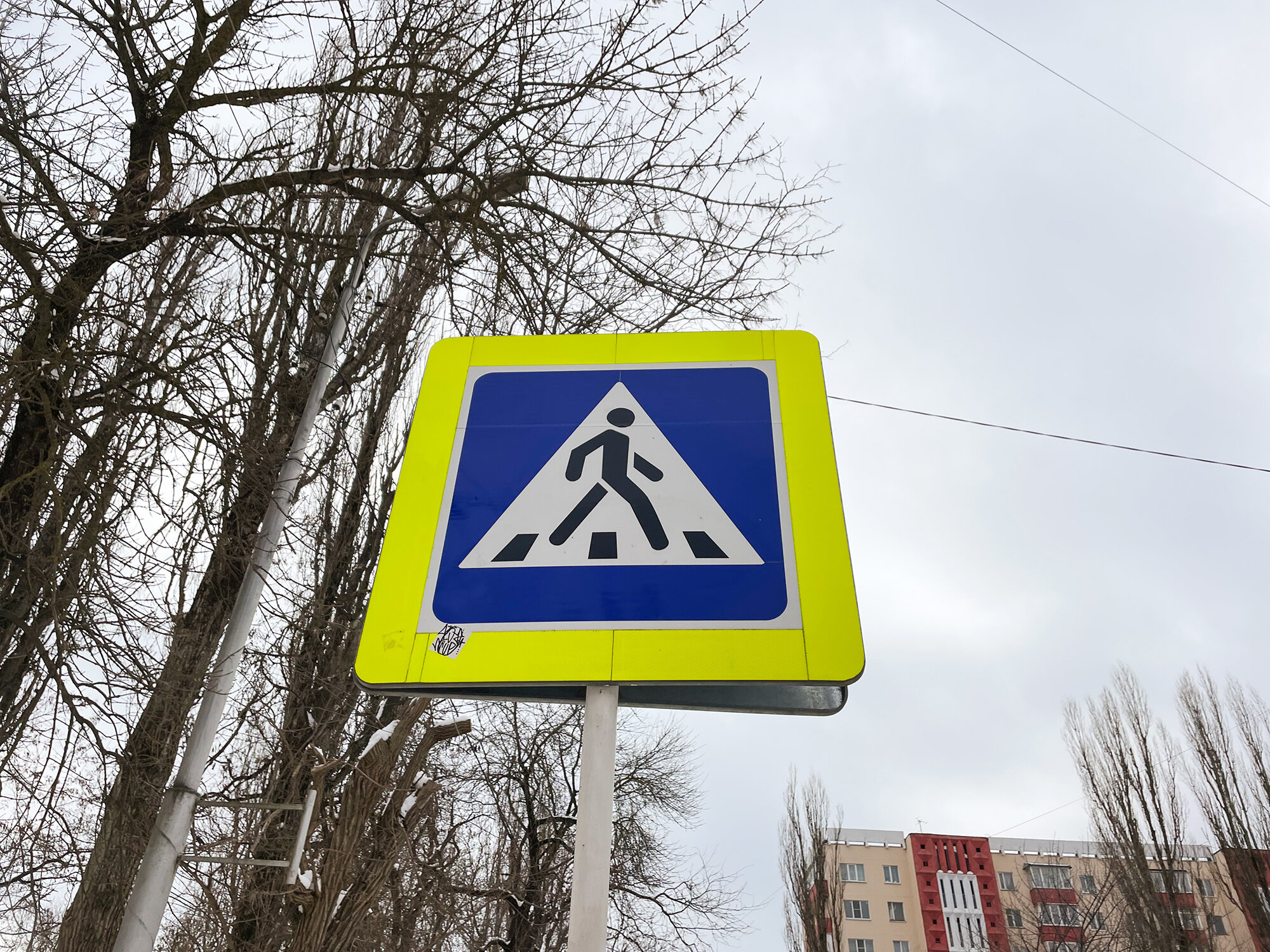 ГИБДД усилит контроль за переходами в Москве 28 июля