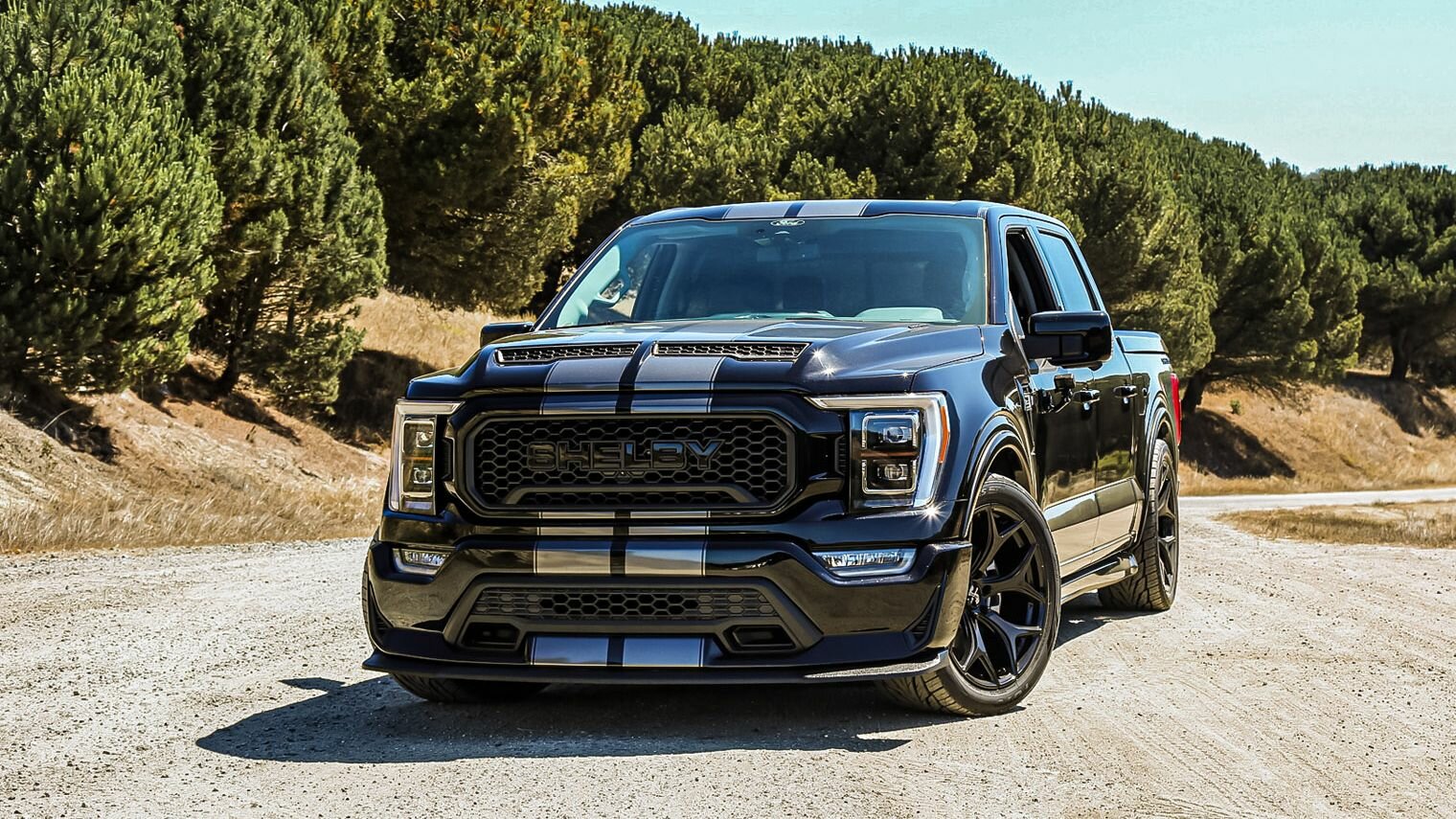 В Shelby American сделали очень мощный и быстрый пикап F-150 Super Snake