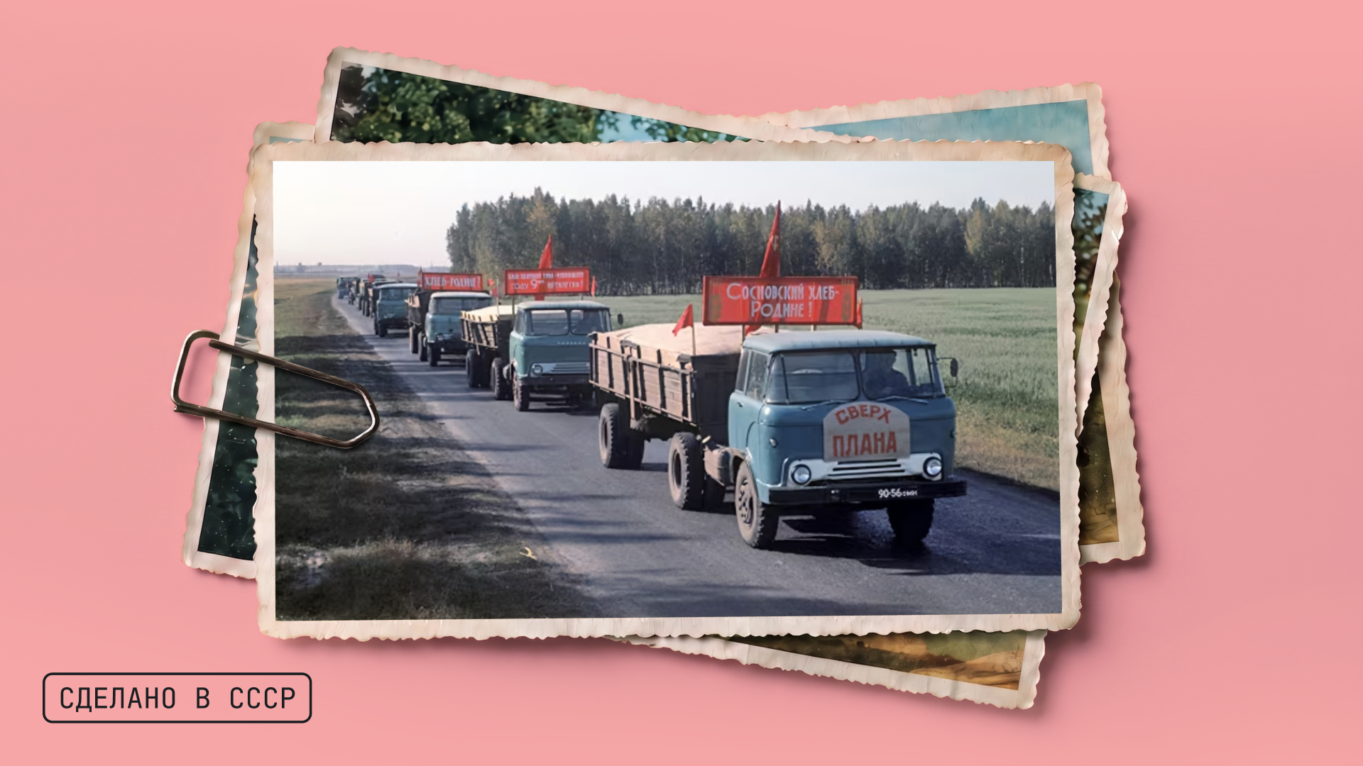 Грузинский грузовик, который ненавидели: история «Колхиды» и её обидных прозвищ 