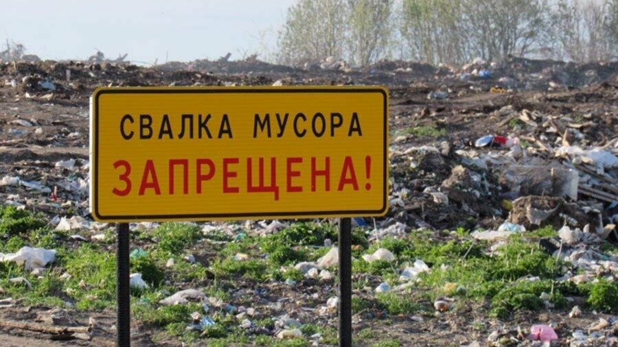 С 11 января выбрасывающих мусор из машины разрешат штрафовать с помощью камер
