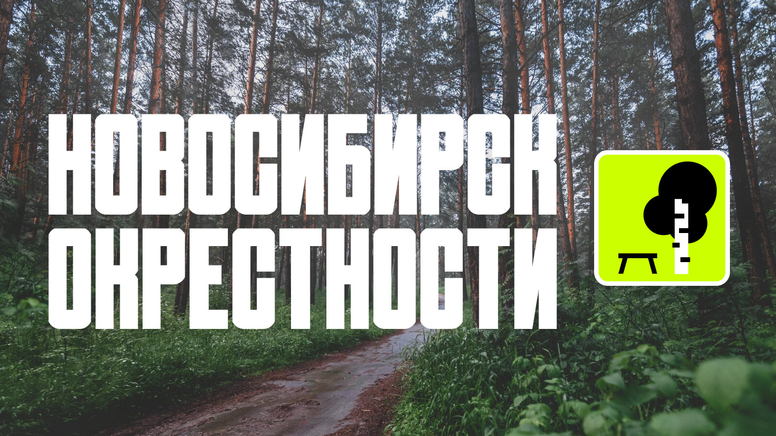 От «моря» до золота: лучшие места в окрестностях Новосибирска. Список и маршруты