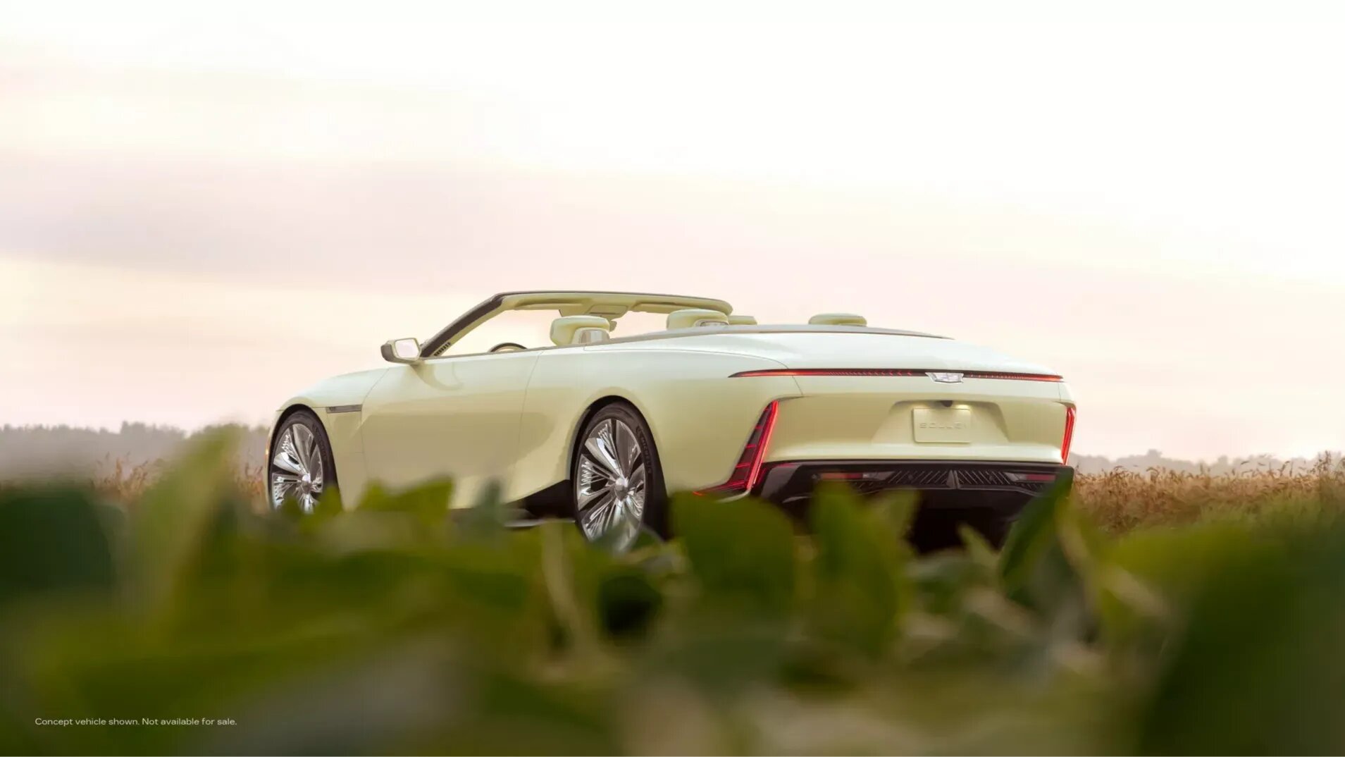 Cadillac представил роскошный кабриолет Sollei с отделкой из грибов
