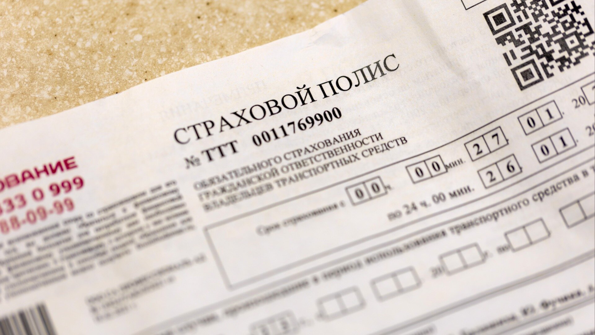 Единое ОСАГО для России и Белоруссии заработает к октябрю