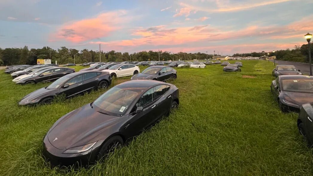 Сотни новых Tesla обнаружили на заросшем поле
