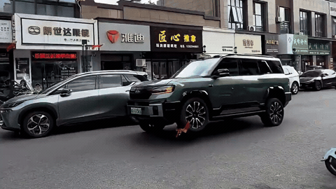 Уникальная подвеска BYD Leopard 8 помогла водителю уехать с блокиратором колеса