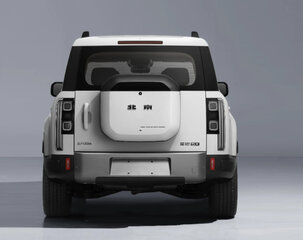BAIC TANTALUM 5X  - фото 3 от автора van в Бортжурнале