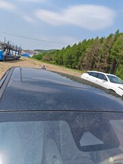 Ora Good Cat - 9 от автора Konstantin Auto в Бортжурнале