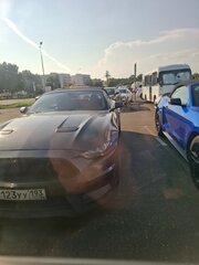 Фото 2 от автора ussur1604igor в Бортжурнале
