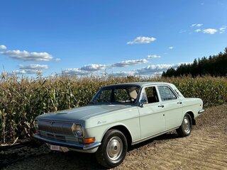 1976 ГАЗ 24 «Волга» 24 I (24), серый, 650000 рублей, вид 5