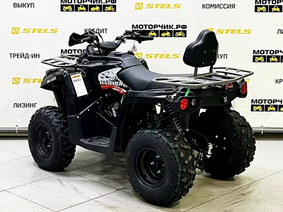 2025 Bison ATV200, чёрный - вид 6