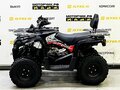 2025 Bison ATV200, чёрный - вид 3