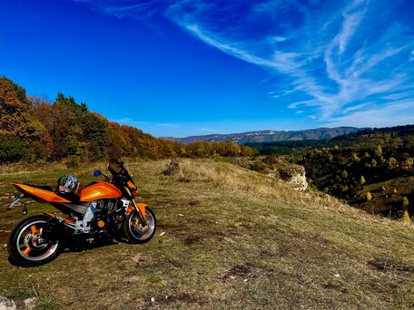 2005 Kawasaki Z 1000, оранжевый, 550000 рублей, вид 2
