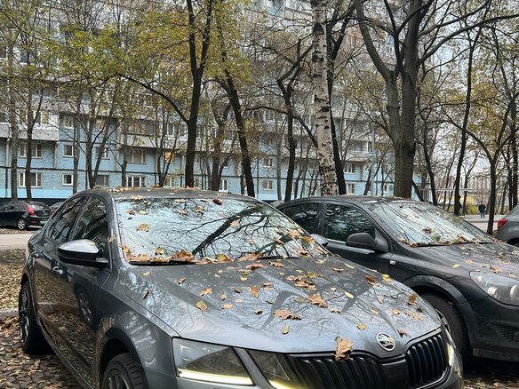2017 Skoda Octavia III (A7) Рестайлинг, серый, 1900000 рублей - вид 15