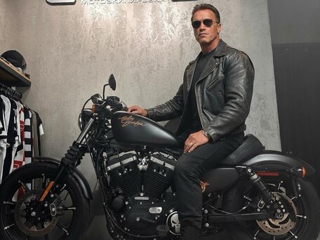 2019 Harley-Davidson Sportster 883, чёрный, 883000 рублей, вид 1