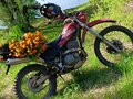 2001 Kawasaki KLX 250, красный, 230000 рублей - вид 1