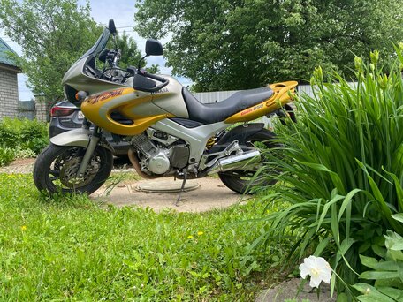 1998 Yamaha TDM850, жёлтый, 250000 рублей, вид 1