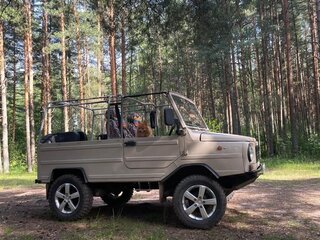 1994 ЛуАЗ 969М, бежевый, 345000 рублей, вид 3