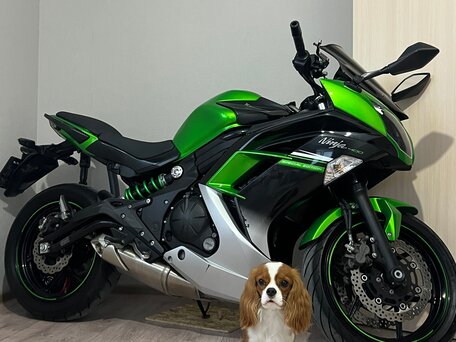 2016 Kawasaki Ninja 400, зелёный, 700000 рублей, вид 2