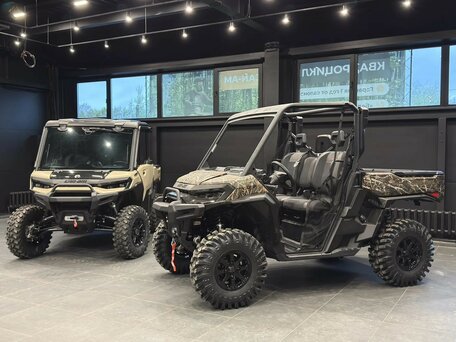 2026 BRP Can-Am Defender HD11, бежевый, 5550000 рублей, вид 3