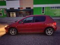 2006 Peugeot 307 I Рестайлинг, красный, 320000 рублей - вид 5