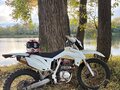 2019 Avantis FX 250, белый, 135000 рублей - вид 10