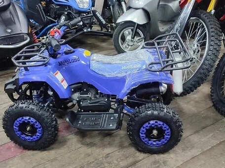 2025 Motoland Scorpion 50, синий, 64900 рублей, вид 4
