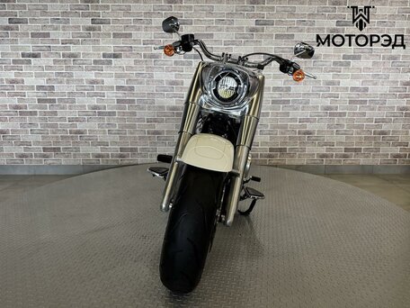 2018 Harley-Davidson Fat Boy, белый, 1985000 рублей, вид 5
