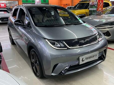 BYD Dolphin I
