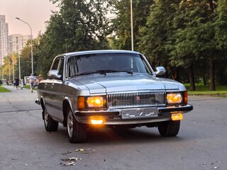 2008 ГАЗ 3102 «Волга», серый, 650000 рублей, вид 4