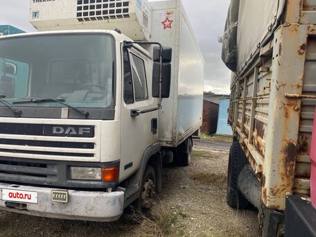 1996 DAF 45, белый, 1000000 рублей, вид 2