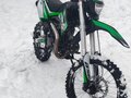 2023 BSE EX 125, зелёный, 65000 рублей