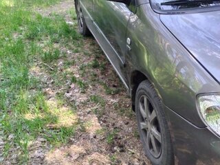 2002 Toyota Corolla IX (E120, E130), серый, 450000 рублей, вид 4