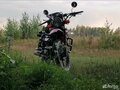2015 Motoland Forester, красный, 50000 рублей - вид 3