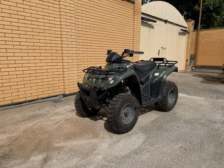 2011 Arctic Cat 300 Series, зелёный, 530000 рублей, вид 2