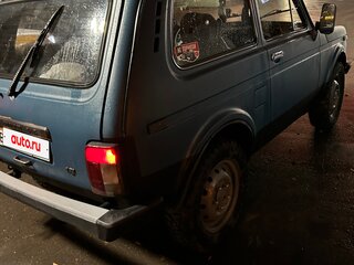 1995 Lada (ВАЗ) 2121 (4x4) I Рестайлинг, серый, 250000 рублей, вид 4