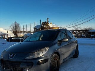 2007 Peugeot 307 I Рестайлинг, серый, 350000 рублей, вид 1