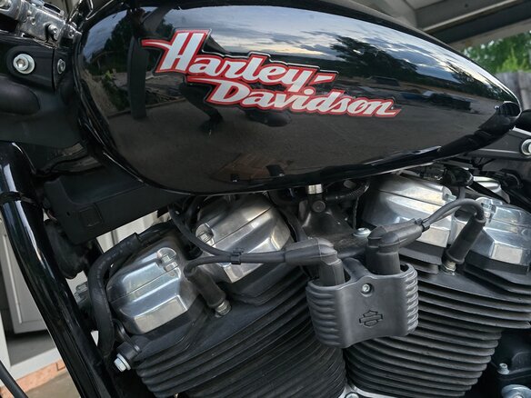 2023 Harley-Davidson Softail Standard, чёрный, 1220000 рублей - вид 2