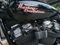 2023 Harley-Davidson Softail Standard, чёрный, 1220000 рублей - вид 2