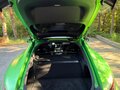 2017 Mercedes-Benz AMG GT R I Рестайлинг, зелёный, 12550000 рублей - вид 11